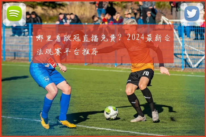哪里看欧冠直播免费？2024最新合法观赛平台推荐