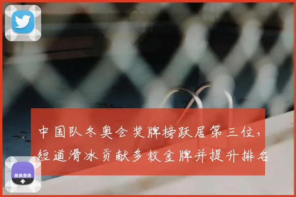 中国队冬奥会奖牌榜跃居第三位，短道滑冰贡献多枚金牌并提升排名